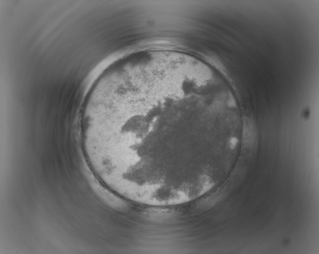 X0000115481474200912181157