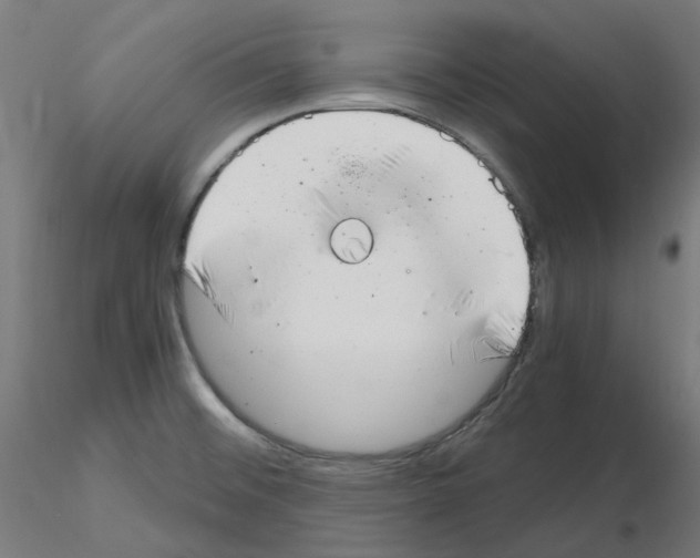 X0000115481476200912181157