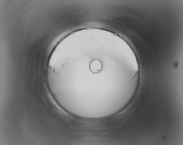 X0000115481477200912181157