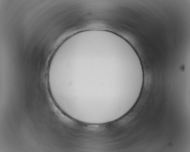 X0000115481478200912181157