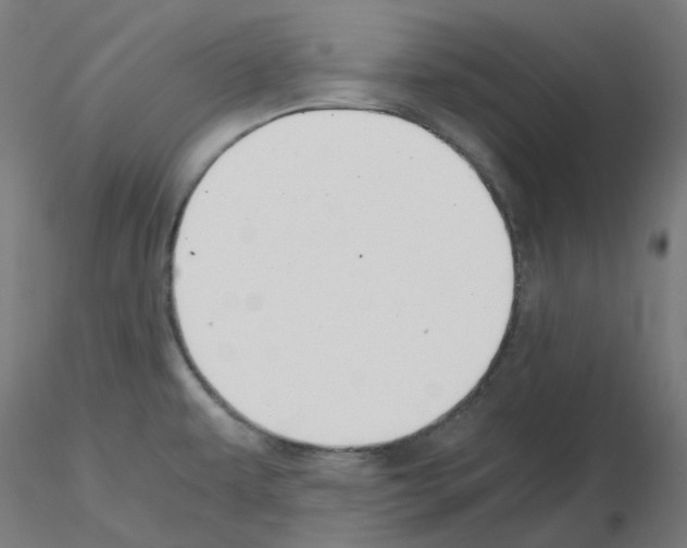 X0000115481479200912181157