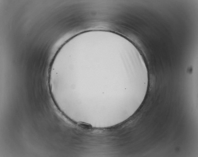 X0000115481480200912181157