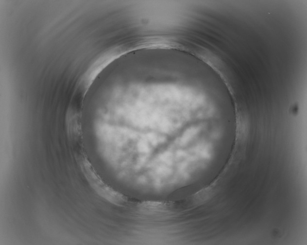 X0000115481481200912181157