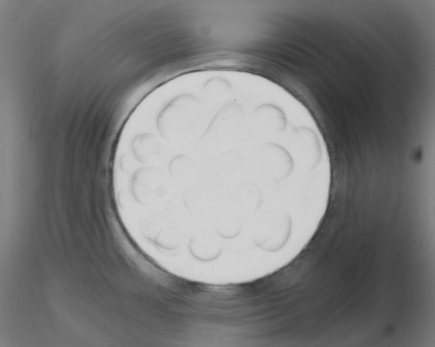 X0000115481483200912181157