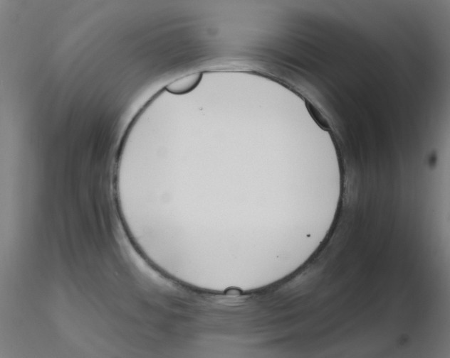 X0000115481484200912181157