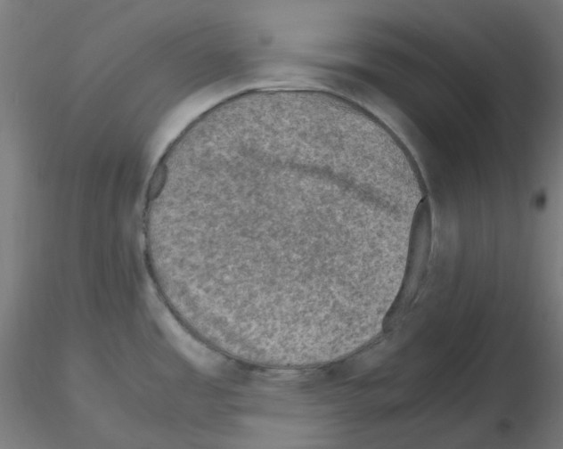 X0000115481485200912181157