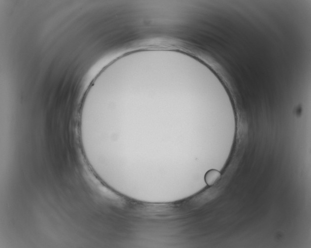 X0000115481486200912181157