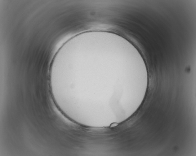 X0000115481487200912181157