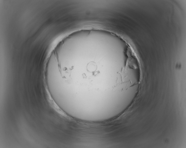 X0000115481488200912181157