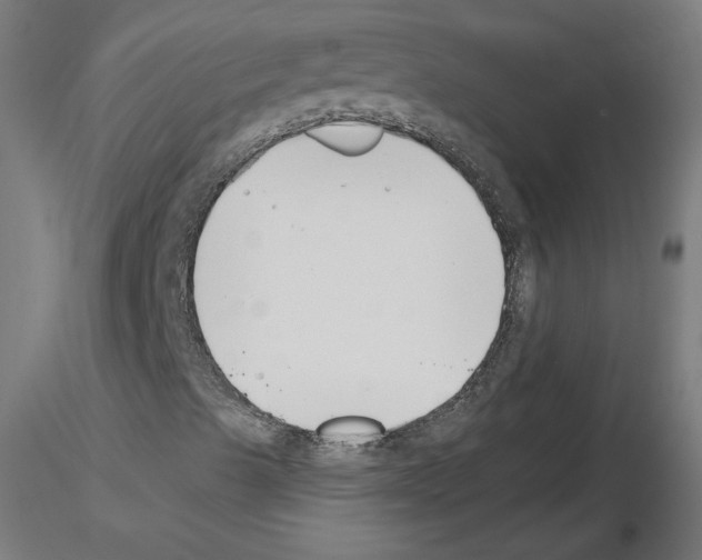 X0000115481489200912181157