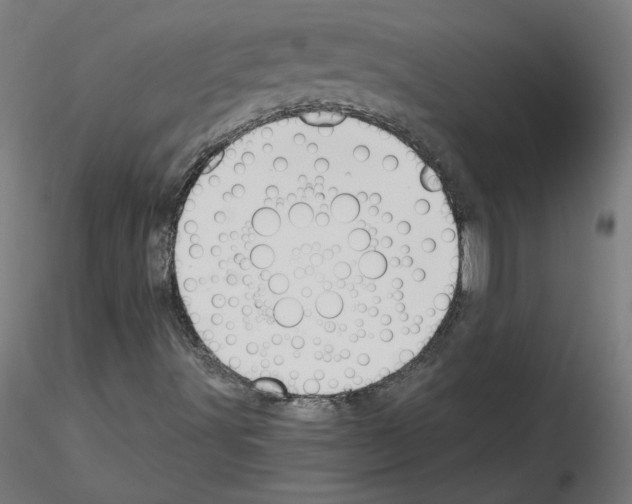 X0000115481491200912181157