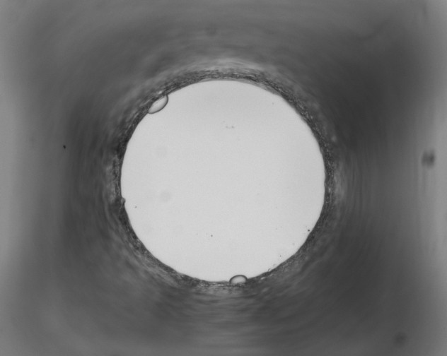 X0000115481493200912181157