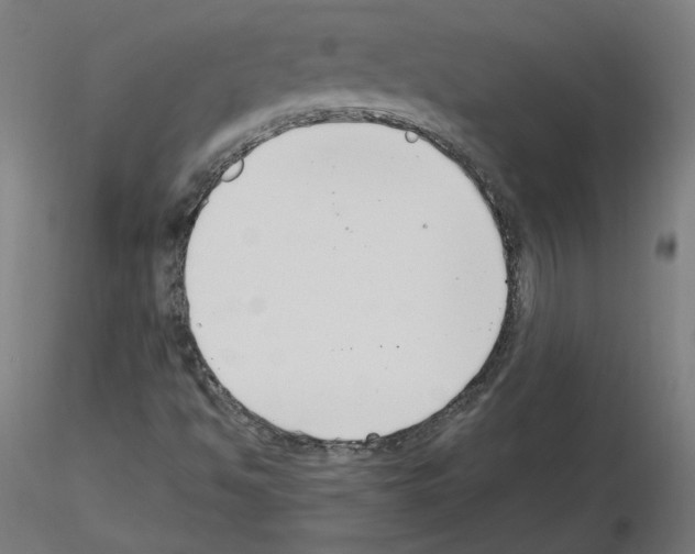 X0000115481494200912181157