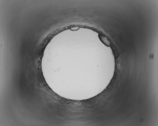 X0000115481495200912181157