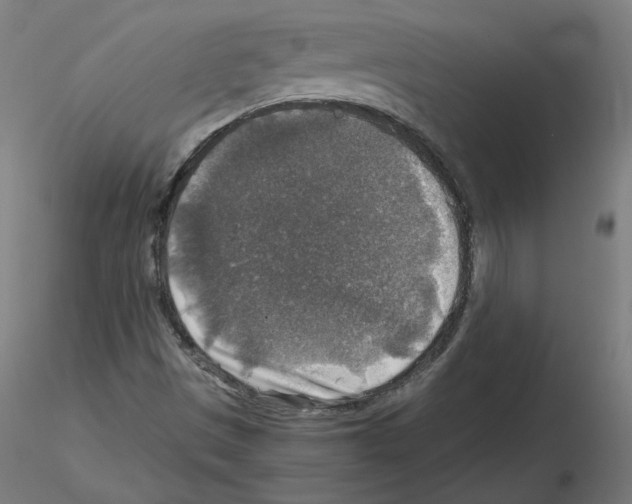 X0000115481497200912181157