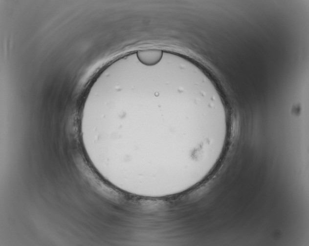 X0000115481498200912181157