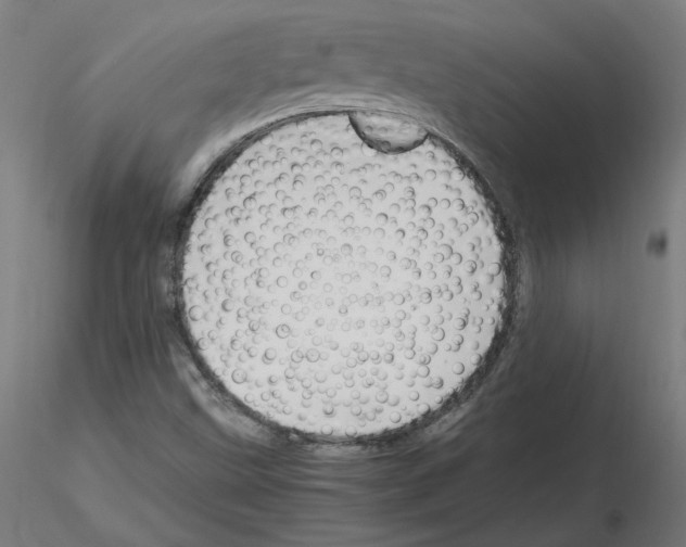 X0000115481499200912181157