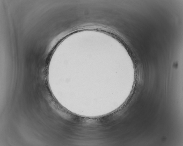 X0000115481501200912181157