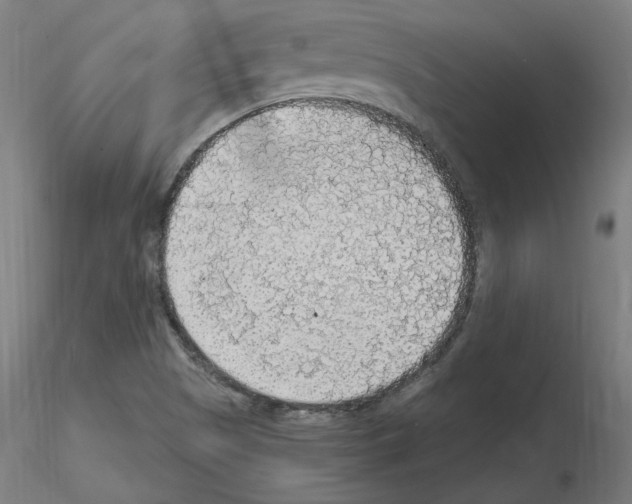 X0000115481505200912181157