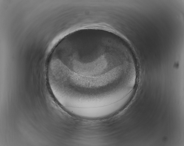 X0000115481506200912181157