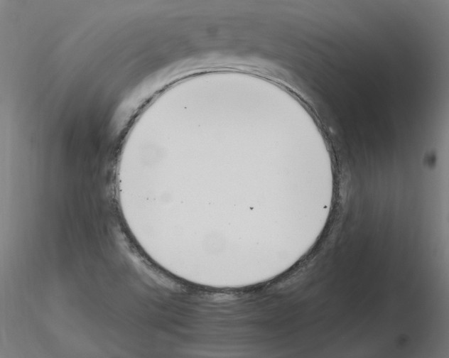 X0000115481507200912181157