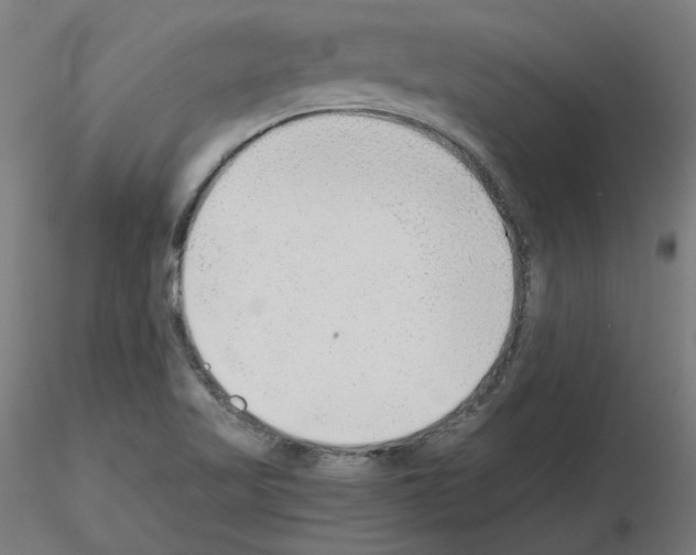 X0000115481509200912181157