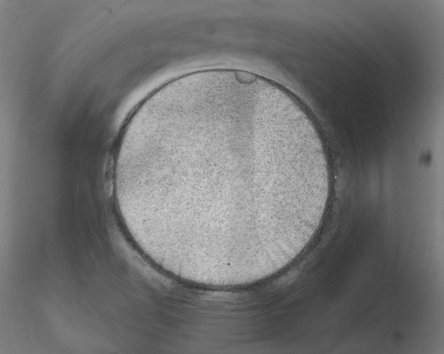 X0000115481510200912181157