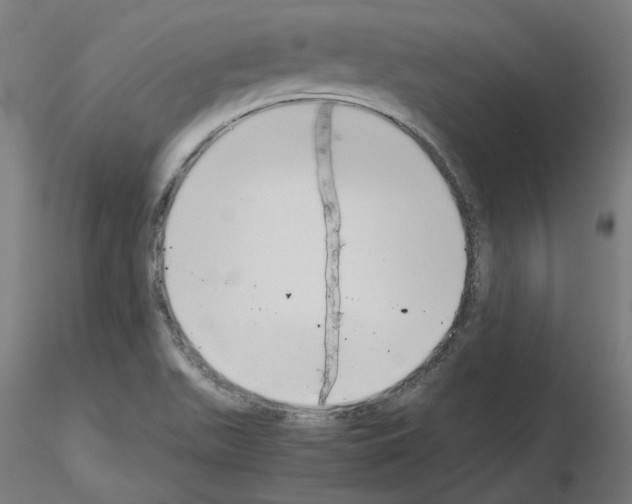 X0000115481511200912181157