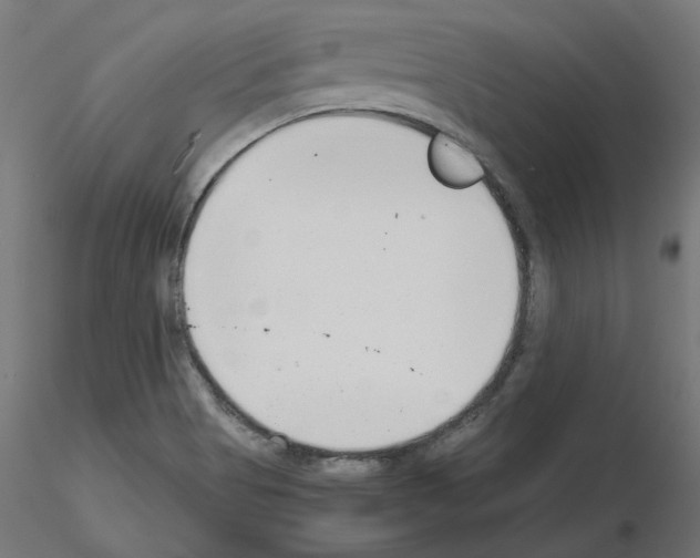 X0000115481513200912181157