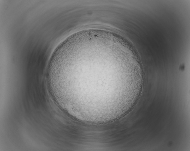 X0000115481514200912181157