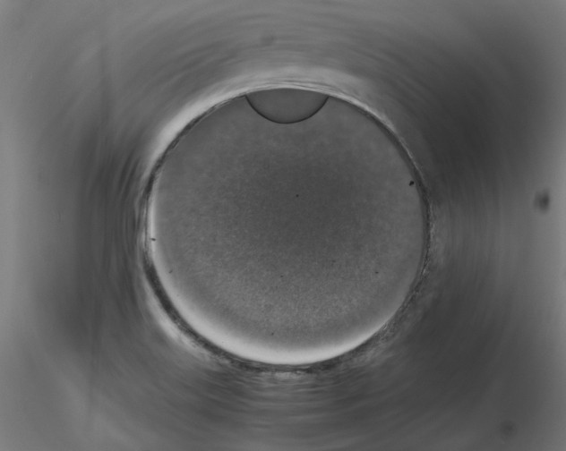 X0000115481515200912181157