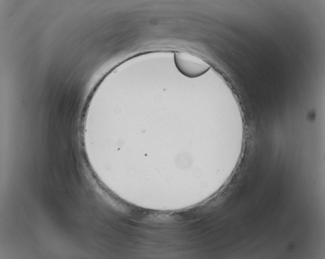 X0000115481517200912181157