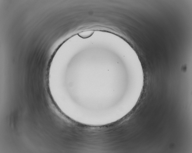 X0000115481518200912181157
