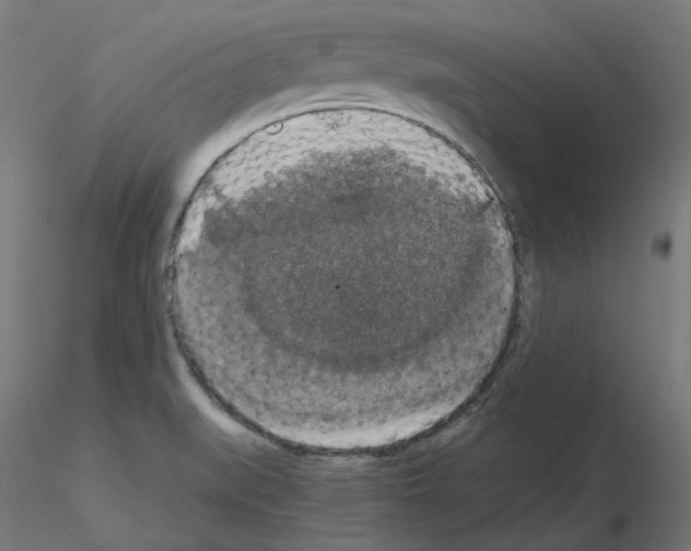 X0000115481519200912181157