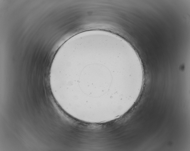 X0000115481521200912181157
