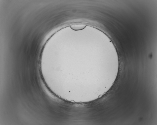 X0000115481523200912181157