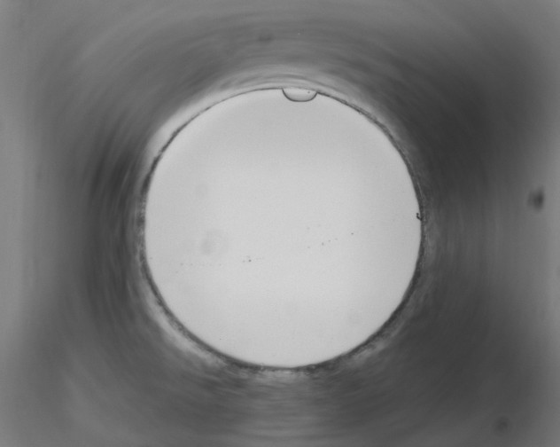 X0000115481526200912181157