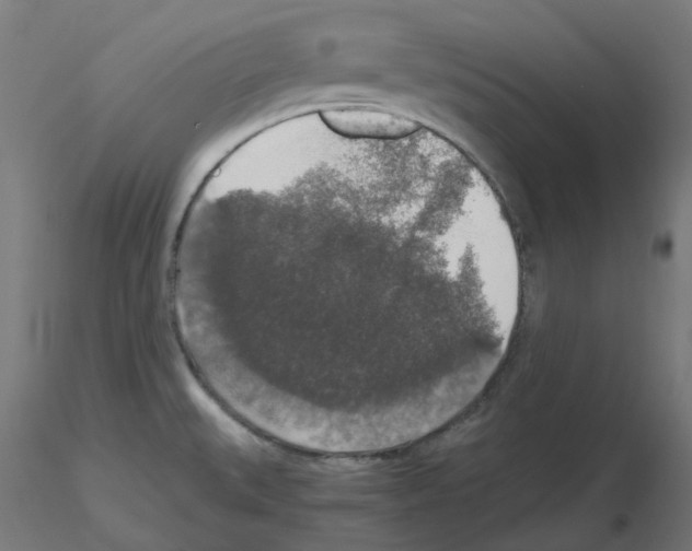 X0000115481527200912181157