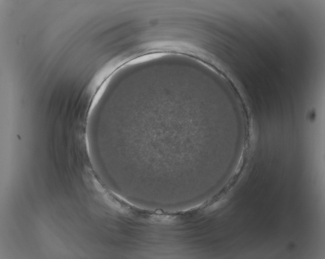 X0000115481529200912181157