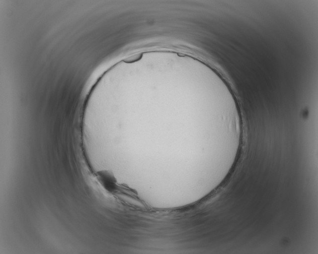 X0000115481530200912181157