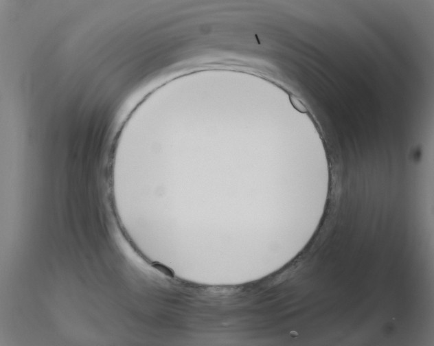 X0000115481531200912181157