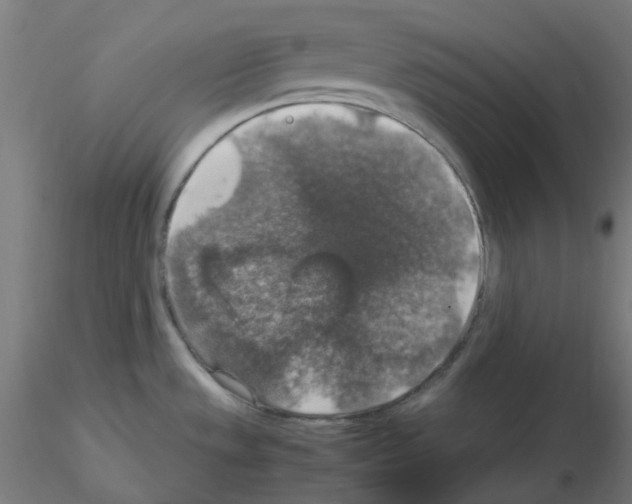 X0000115481533200912181157
