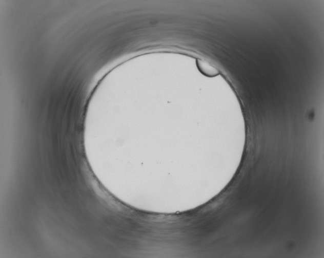 X0000115481534200912181157