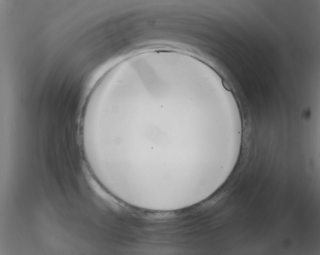X0000115481535200912181157
