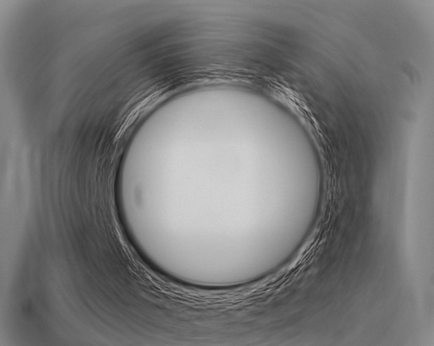 X0000115490001200911061011