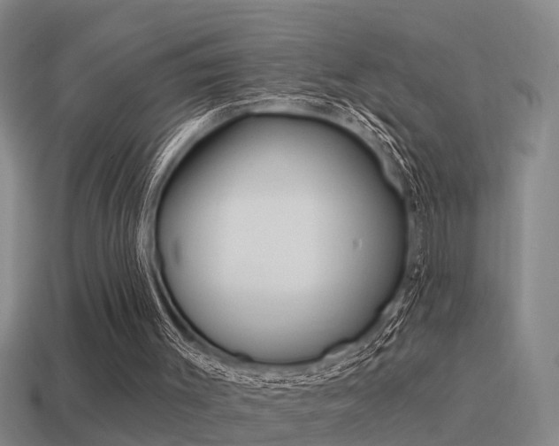 X0000115490003200911061011