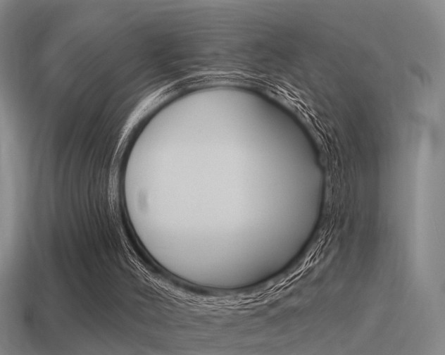 X0000115490004200911061011