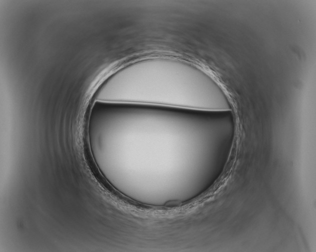 X0000115490007200911061011