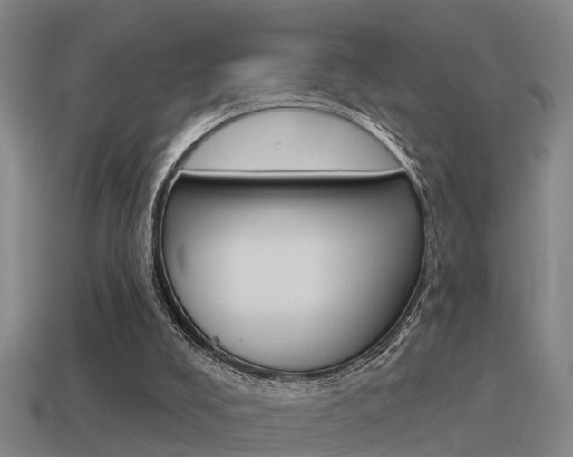 X0000115490008200911061011