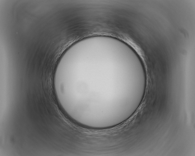 X0000115490009200911061011